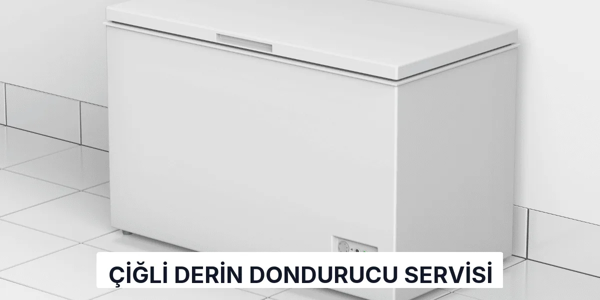 Çiğli Derin Dondurucu Servisi