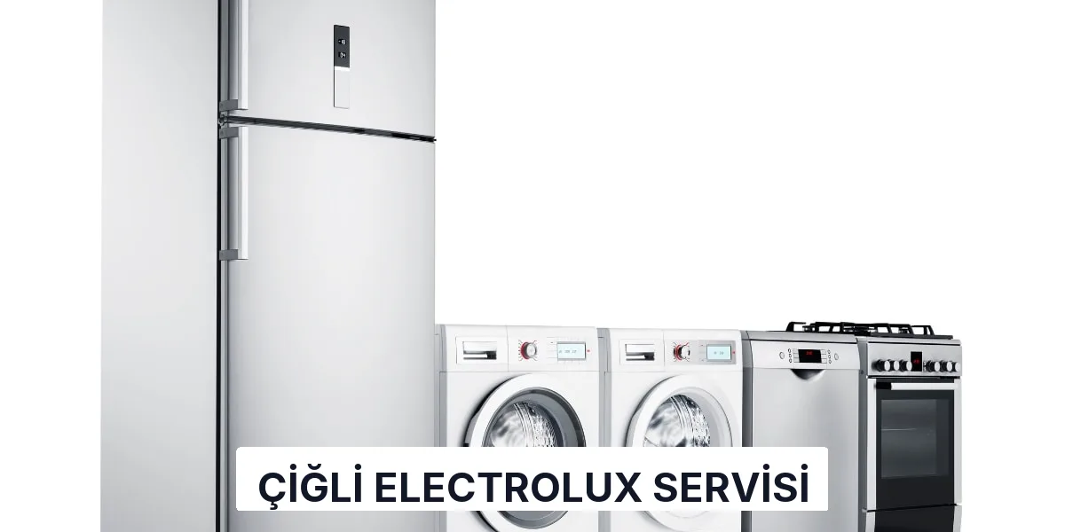 Çiğli Electrolux Servisi