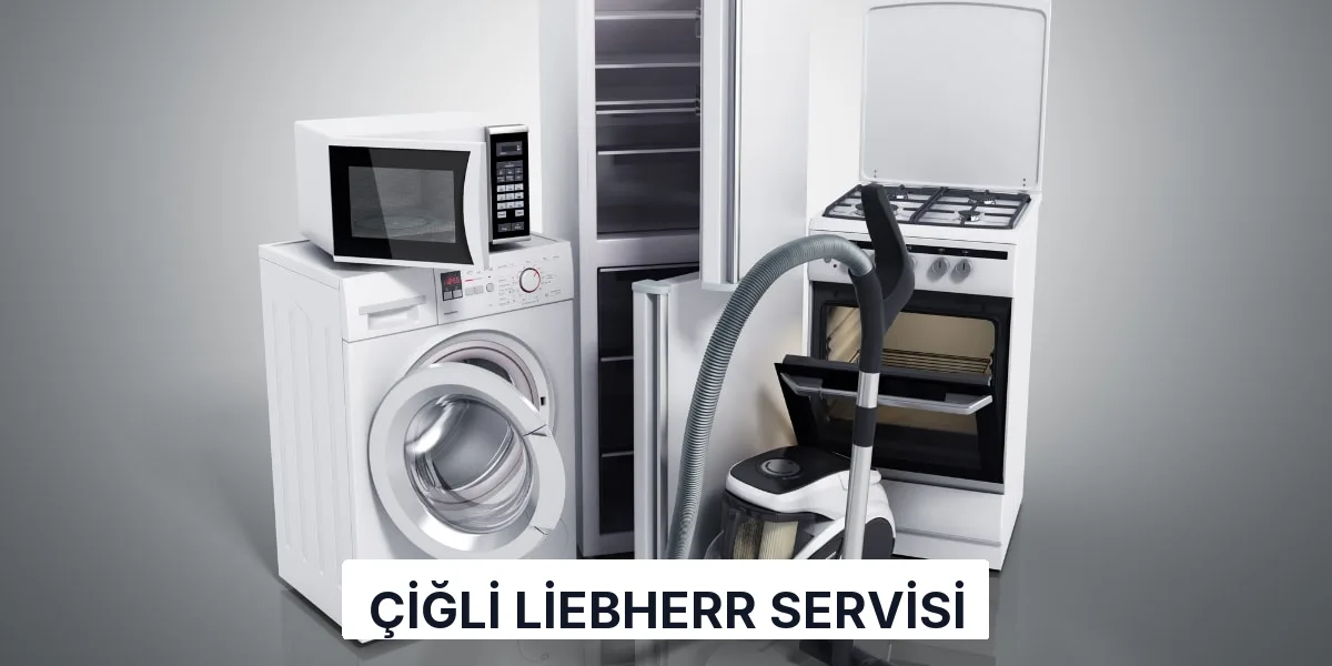 Çiğli Liebherr Servisi
